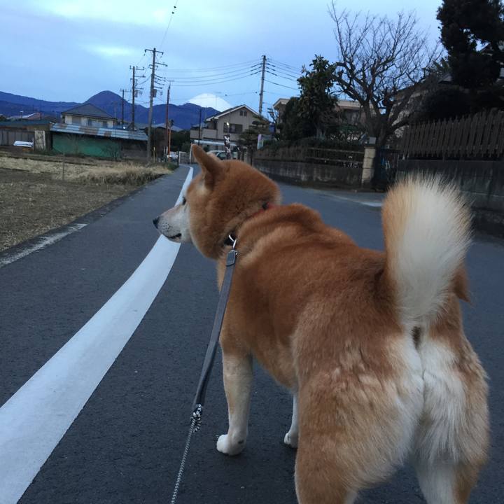 081a19d6 e2f3 4c12 801e 9102a346c601