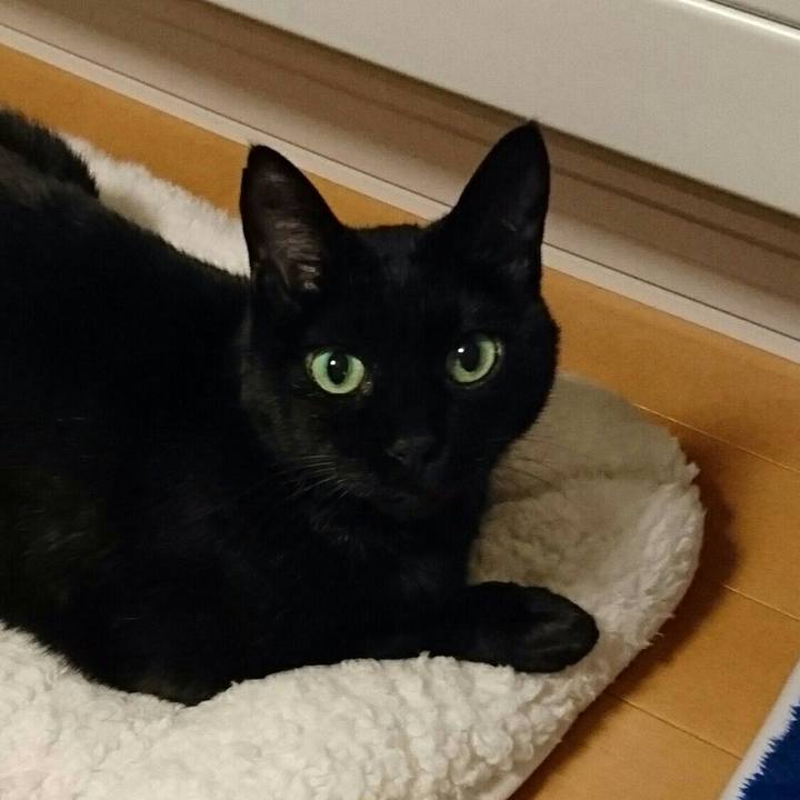 081a398c dd1a 4c71 9743 e9a9c855f0ee