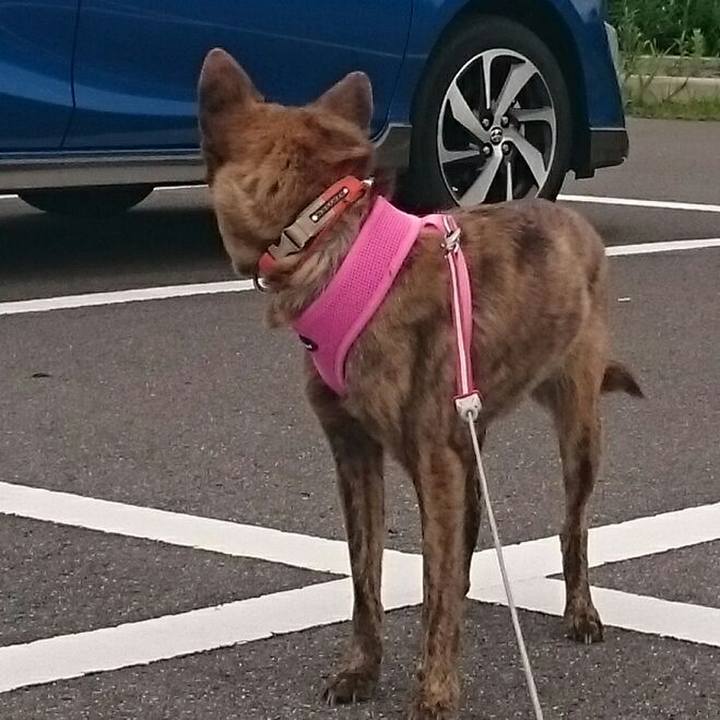 081a58c3 859e 4859 9e51 1afed572876a