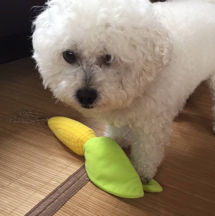 081b3061 2432 46b4 8827 d121ac139e9f