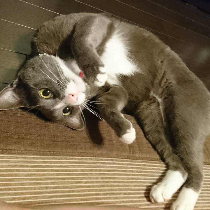 081bb480 6fb3 497a bfb6 f8b79417c926