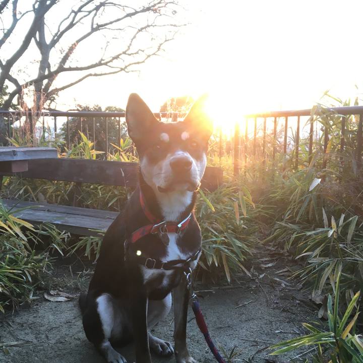 081bd5fa 9c09 4ac1 be5d ea2ab867adfa