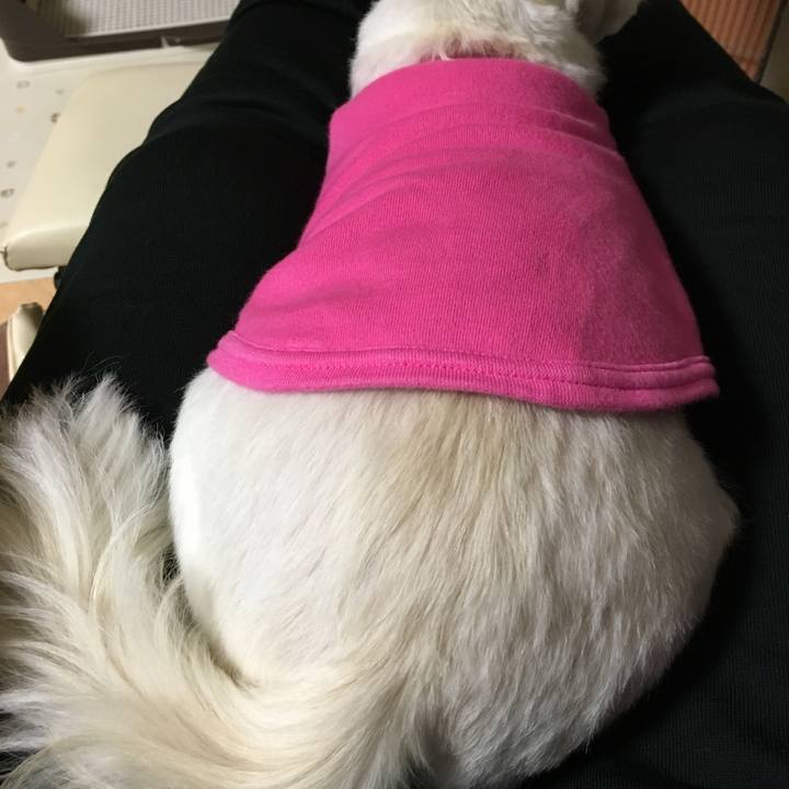 081bf4a8 2838 4c0c 945b c3abaa21ea71