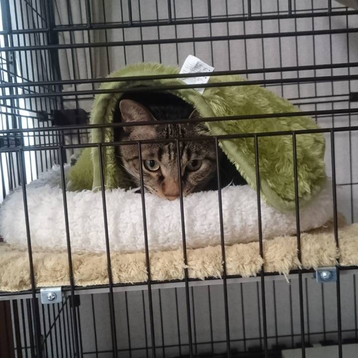 081c0ae5 272a 4ccb 92aa e2f4df61a25f