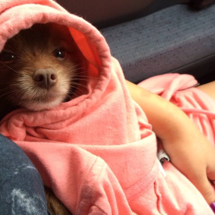 081c42df 2700 4135 ba89 3582d7f4e4ce