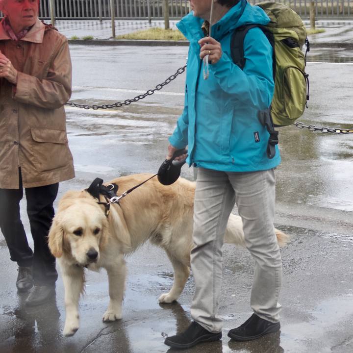 081ca971 a24d 4ff5 82f7 9ddbbf207be1