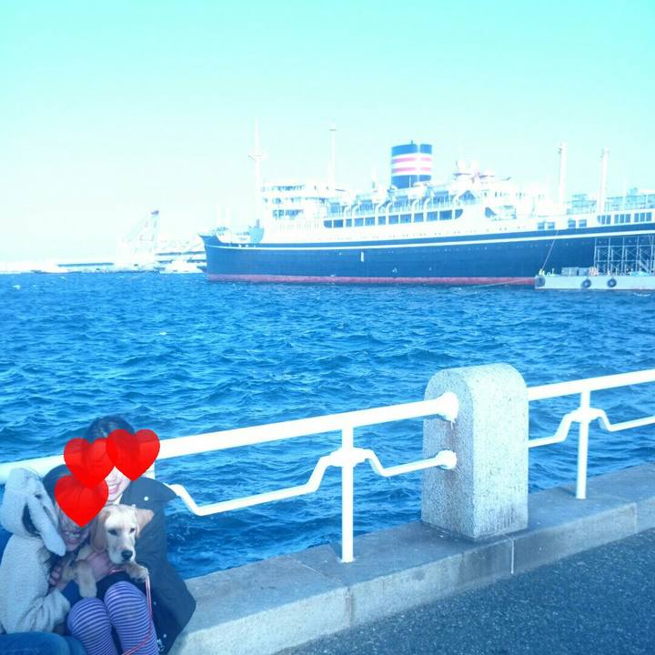 081cf55e 9f63 4f04 8af7 7e4793e681cf