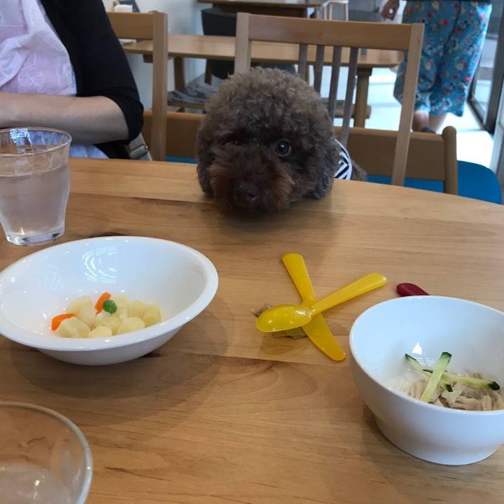 081d6dac d296 4e4d 8b28 956982f6cf74