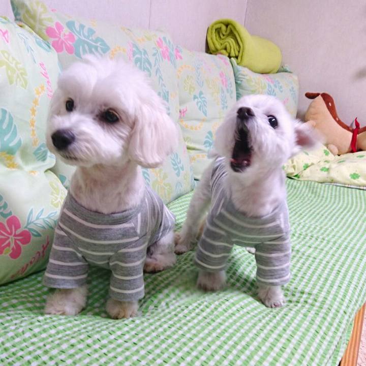 081d942f 6258 4d2e 9166 eca59ba3fbfa