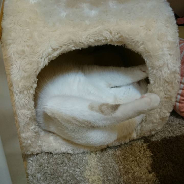 081e00b9 ff9a 4905 a805 7a4f427d0156