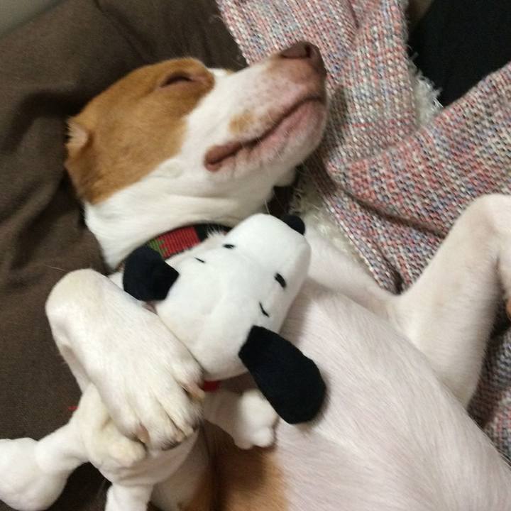 081eae24 e056 43fe adbc e9bcb4f7cbb8