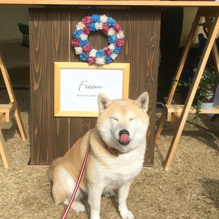 081f431a 1acc 49d0 8386 e35f8f23fa20