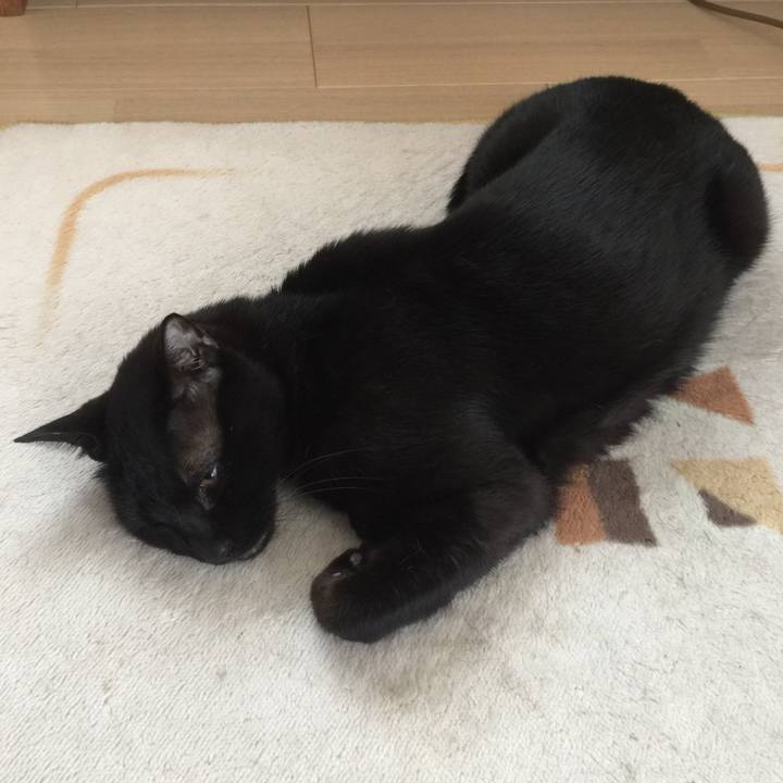 081fd300 477c 4abd 9e41 709765b7ab42