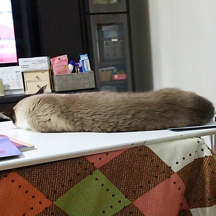 08207a4a 670a 4709 a064 fa66f6b0f44f