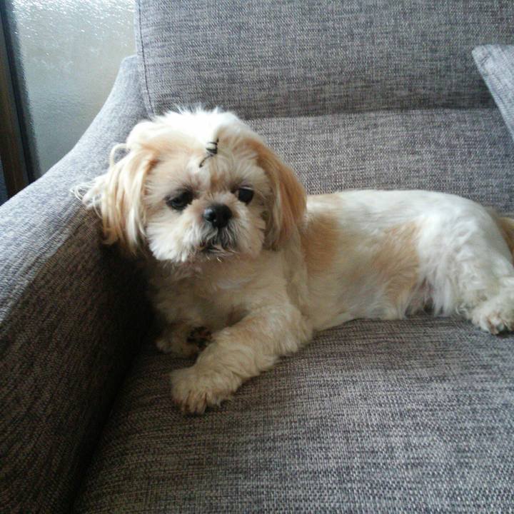 0820a292 debb 4c5a a2a4 d5ed3dc3f48c