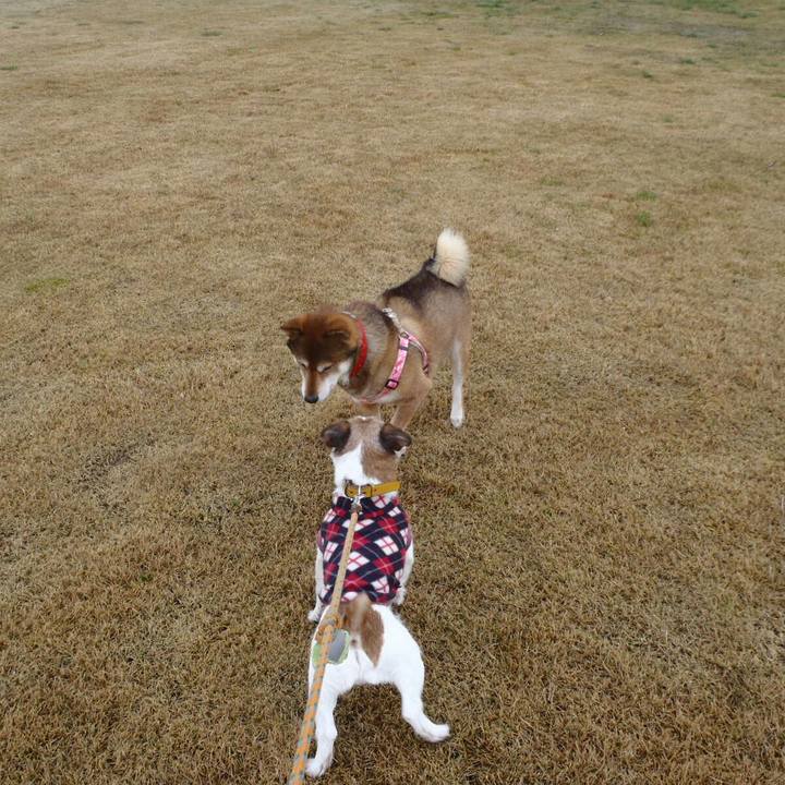 08214a3d 91fd 4ad6 b424 bb88d2662f58