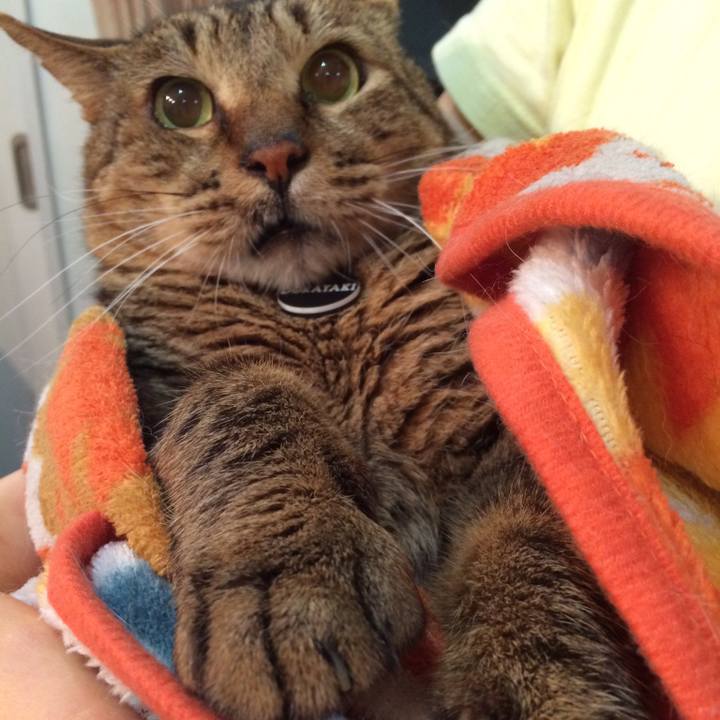 08216517 5e89 4fec 8b4f 51f2f6df9aeb