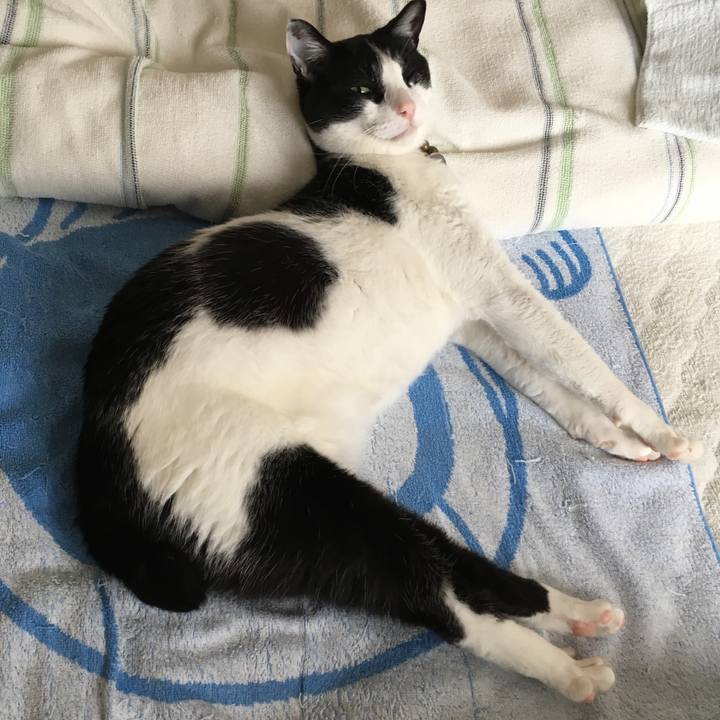 0822224c c961 4429 b276 bcd7b94baa6a