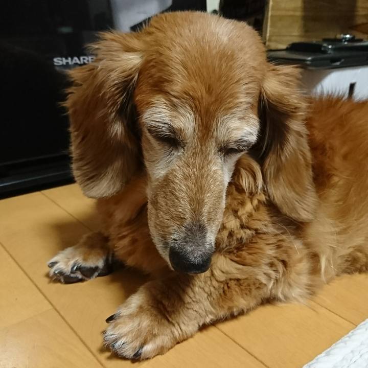 08222f9b ce38 4851 9d30 8eeb5a3b2d53