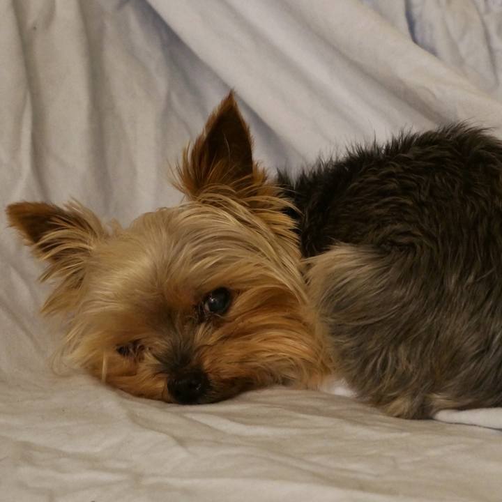 0822722f 600a 4ddb 8e0b 76f609d29637