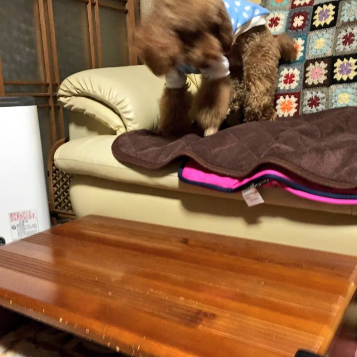 0822c33a 6765 4eef a0c5 802e7136a4ee