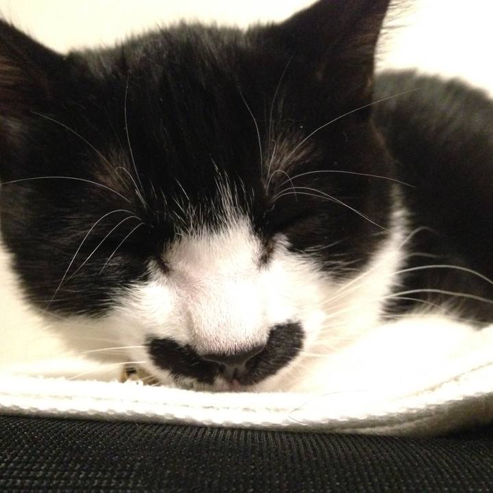 0822ff89 883c 4513 84c3 fc93b57e779f