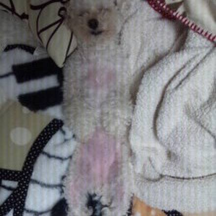 082316e9 b249 479e b635 8b443e28d96b