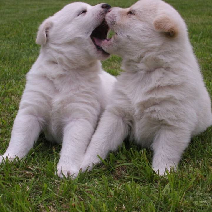 08236c6f 3d46 4b07 b1bd 6d2eb54324ba