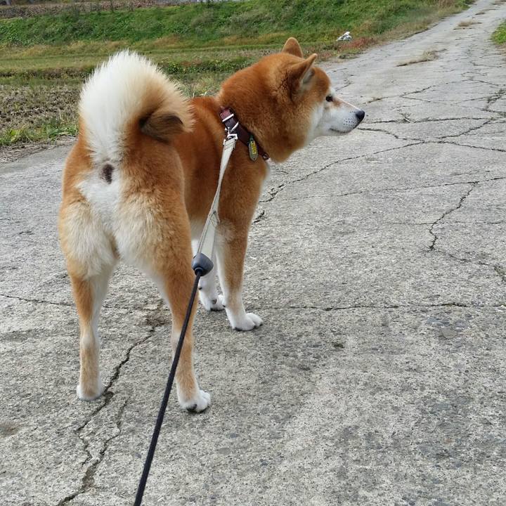 0823a544 5785 4695 b4c2 055eab39c1d2