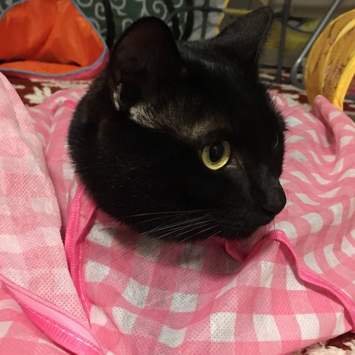 0823de23 99a1 4ea0 9be7 d14f6b668e09