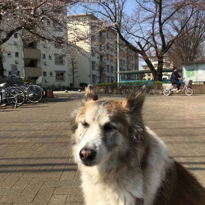 0824261b 2b9d 4060 b8b1 066cc62f1ac6