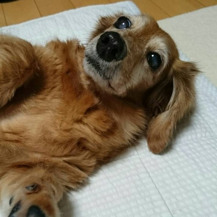 08261e67 7db8 4e60 b685 c35311bc0cff