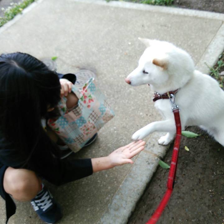 0826c898 99f0 43ce bb5f 08635143c716