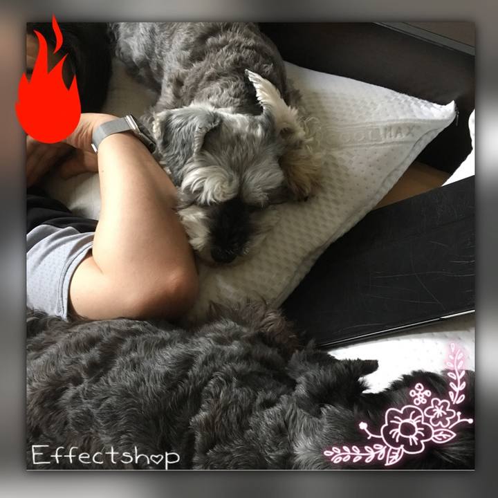 0826e18d d4dc 4c51 b608 1c596c1d1496