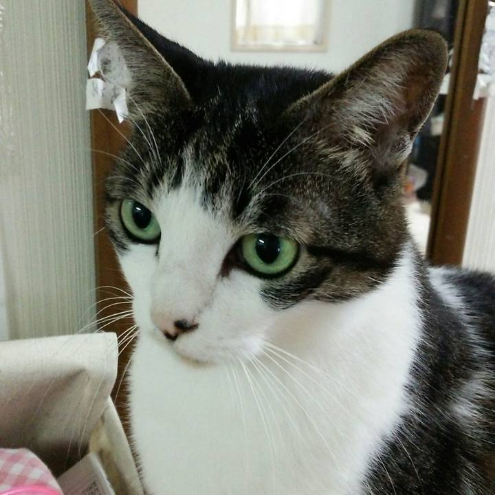 08270740 580c 4479 b796 c4cfdca3d56c