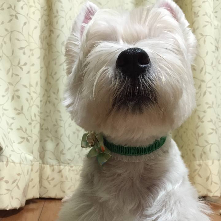 08272320 b698 4db2 8b04 b3d75d696e7a