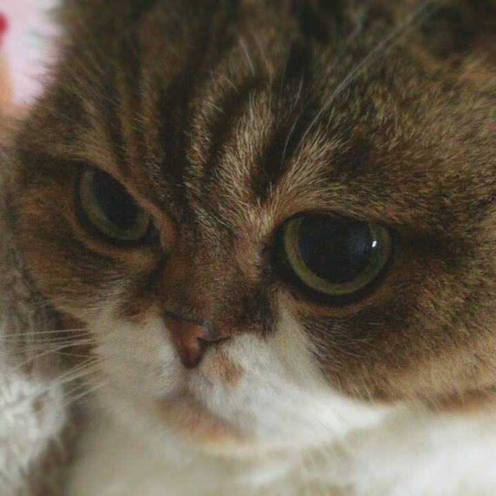 0827967e d26f 4497 b31c fefdc891b86c