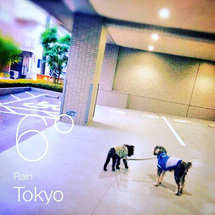 0827e3f5 4b5c 4ae2 8cac 8bb914dee4ca