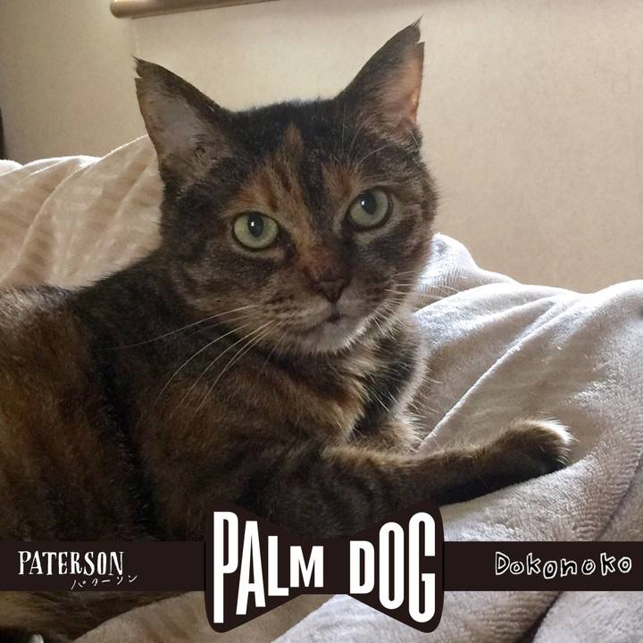 08280f4a 6462 4b98 9673 d609c2e65649