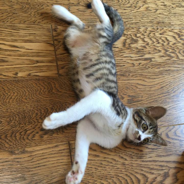 08281226 cde3 4290 91e1 a62507afe0df