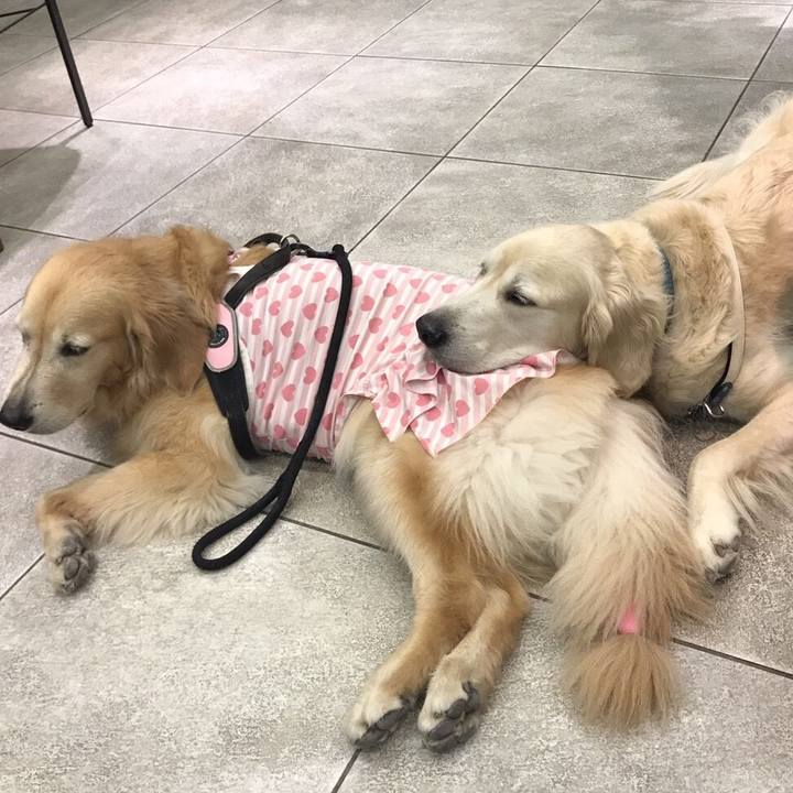 08283c21 8b23 46df b521 7bf327238274