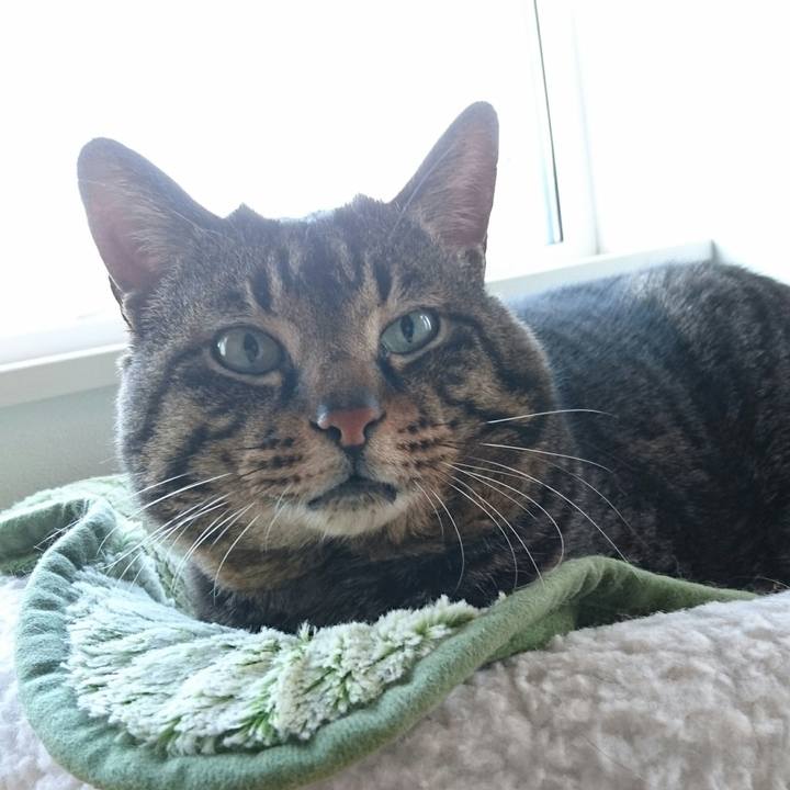 08287c7b d8bd 4524 9456 8c35478b3701