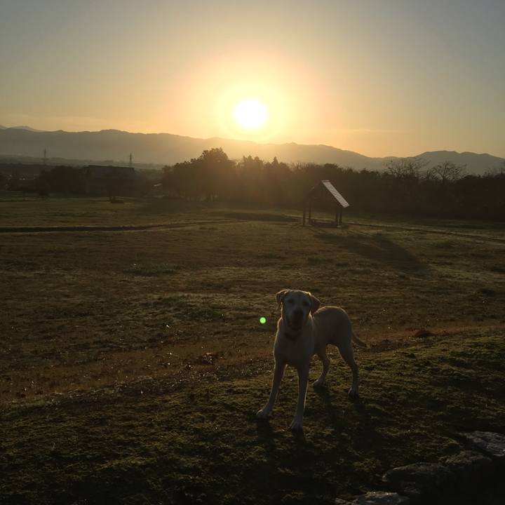 08289182 5d66 40f1 8f1e 38dbd42885df