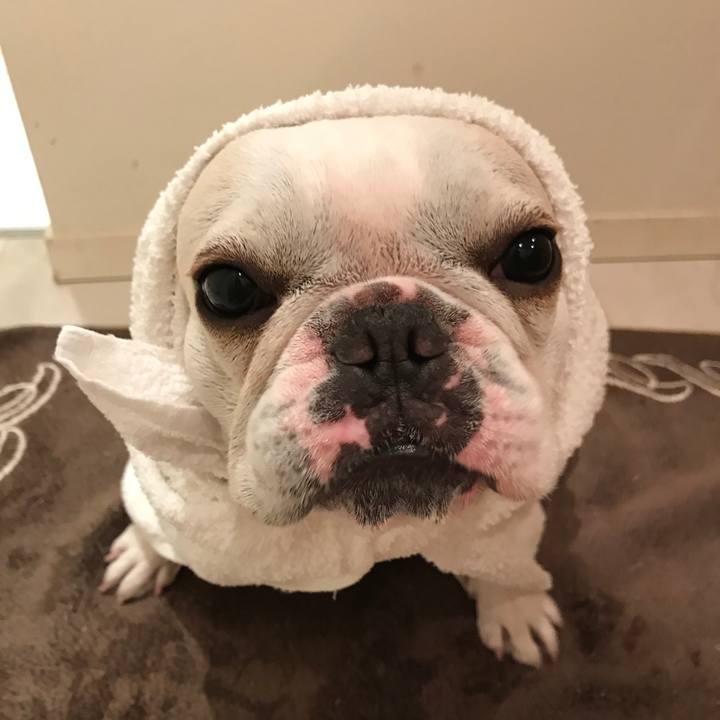 0828ae47 7c92 497f 9220 286c51cbd67e