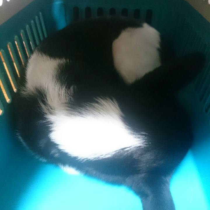 082969de 68c5 40af ad76 c9c2c53c2b74