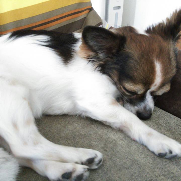 0829a7d3 f508 48aa 8584 3000eadb0775