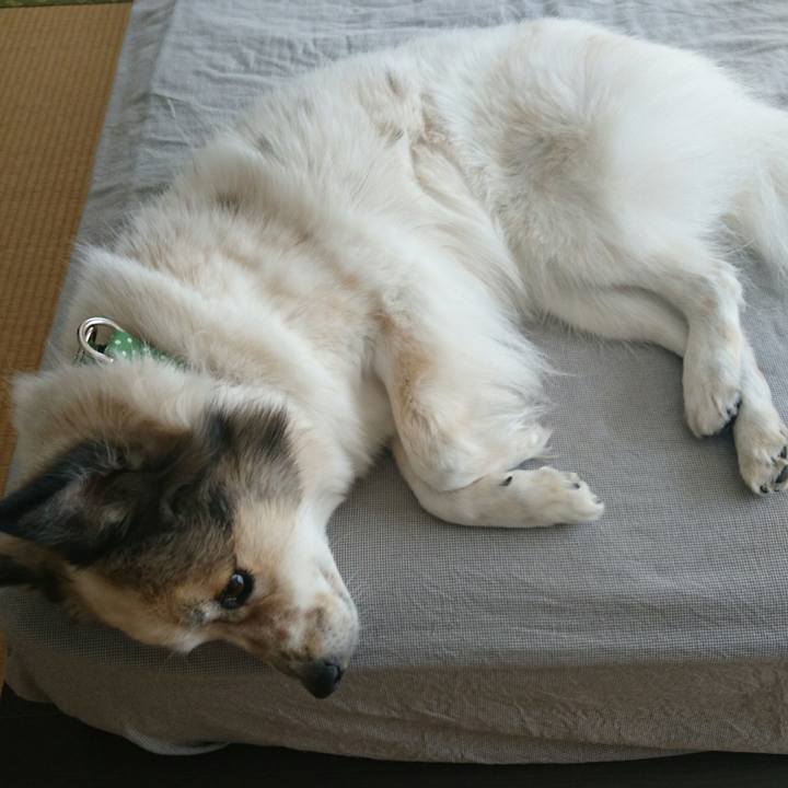 0829b880 5029 45aa b7be 846dff308f7f