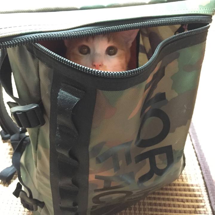 0829e919 b093 4408 8444 466ca3d50d4b