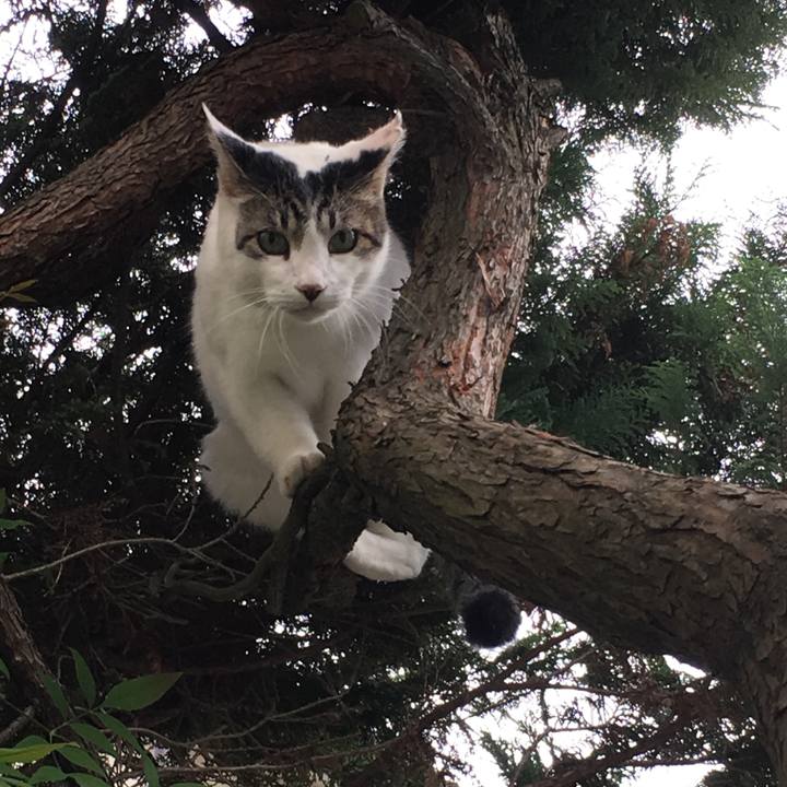 082a7957 8808 4116 a3e5 c40ada6aa71e