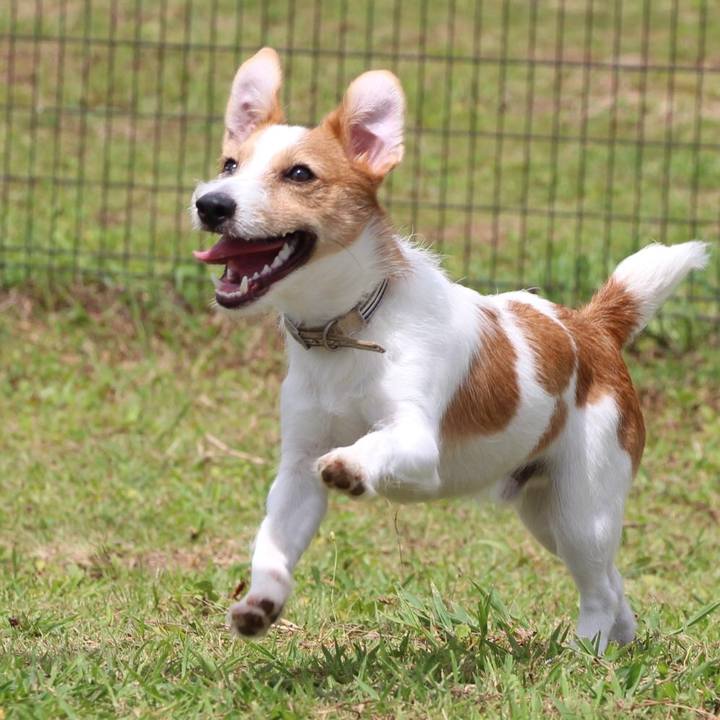 082aa938 91c1 429c b537 eaed187cea8a